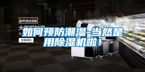 如何预防潮湿-当然是用小黄片直播视频啦！