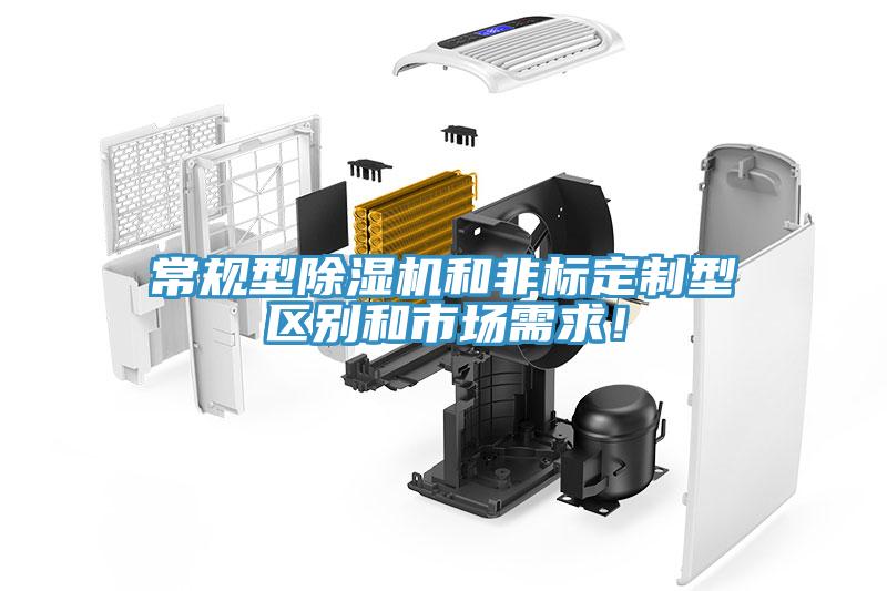 常规型小黄片直播视频和非标定制型区别和市场需求！