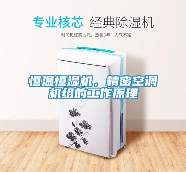 恒温恒湿机，精密空调机组的工作原理