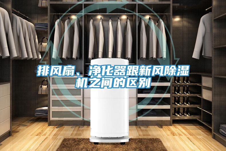 排风扇、净化器跟新风小黄片直播视频之间的区别