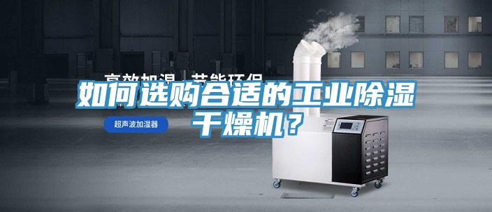 如何选购合适的工业除湿干燥机？