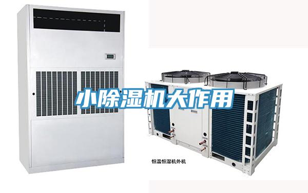 小小黄片直播视频大作用
