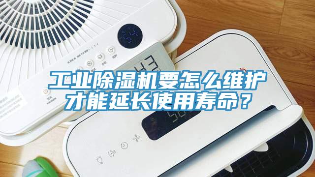 工业小黄片直播视频要怎么维护才能延长使用寿命？