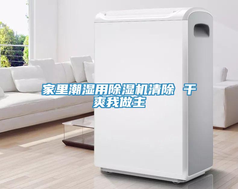 家里潮湿用小黄片直播视频清除 干爽我做主