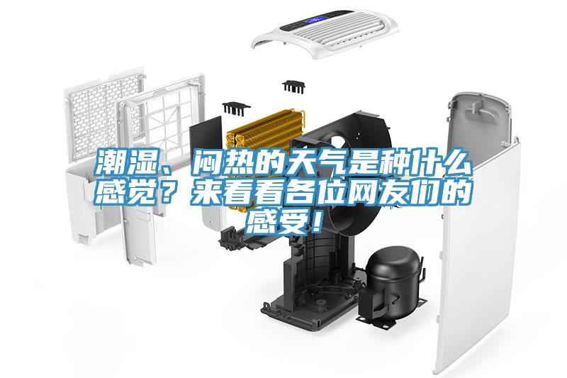 潮湿、闷热的天气是种什么感觉？来看看各位网友们的感受！