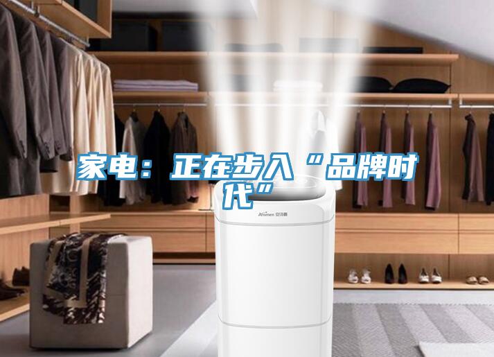 家电：正在步入“品牌时代”