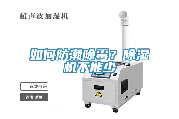 如何防潮除霉？小黄片直播视频不能少