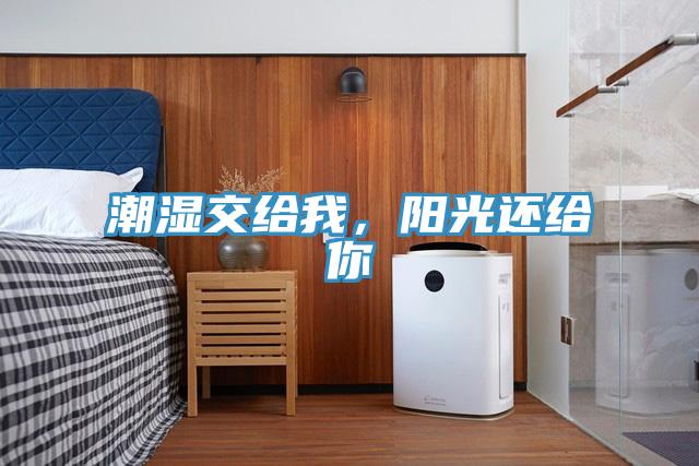 潮湿交给我，阳光还给你