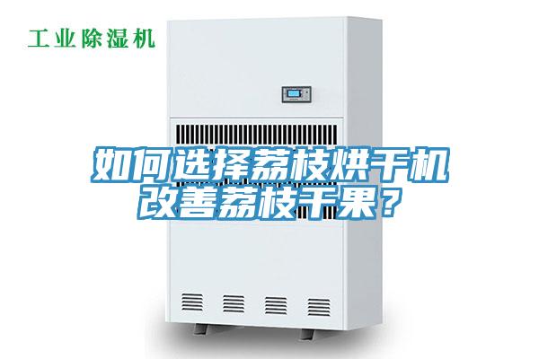 如何选择荔枝烘干机改善荔枝干果？
