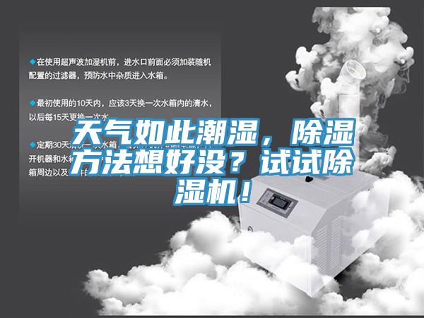 天气如此潮湿，除湿方法想好没？试试小黄片直播视频！