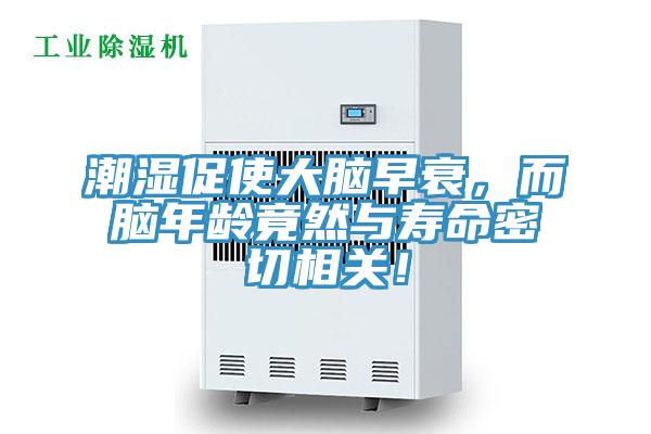 潮湿促使大脑早衰，而脑年龄竟然与寿命密切相关！