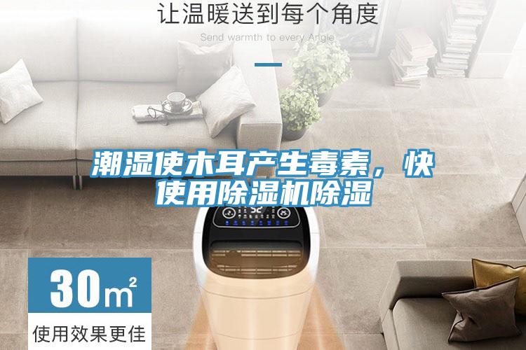 潮湿使木耳产生毒素，快使用小黄片直播视频除湿