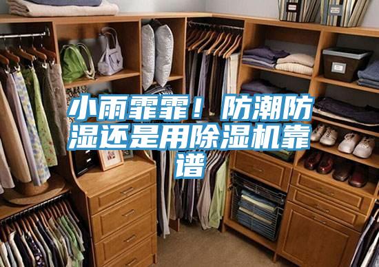 小雨霏霏！防潮防湿还是用小黄片直播视频靠谱