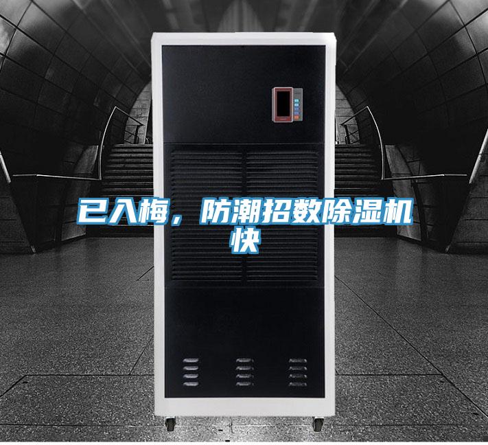 已入梅，防潮招数小黄片直播视频快