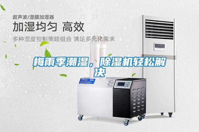 梅雨季潮湿，小黄片直播视频轻松解决