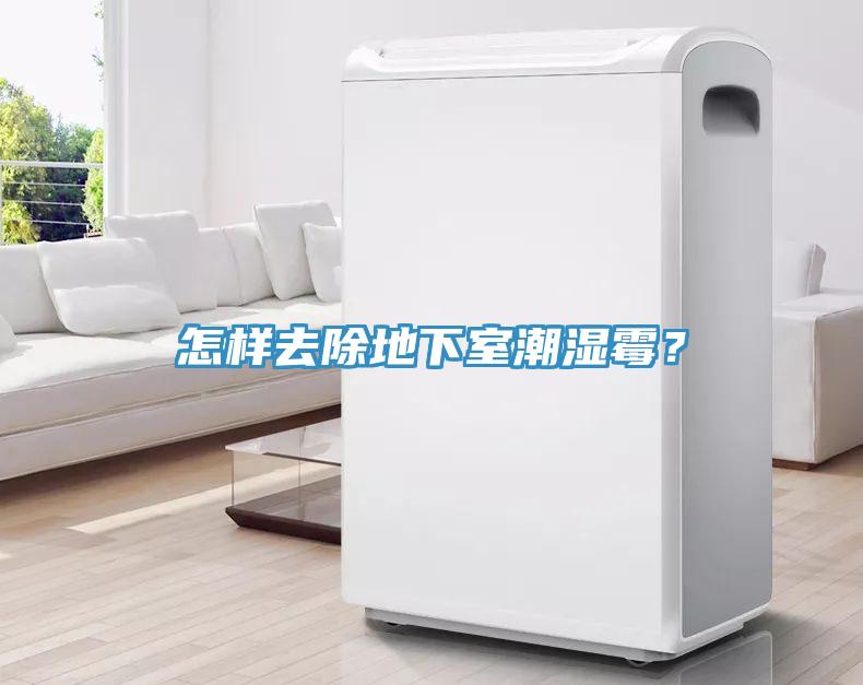 怎样去除地下室潮湿霉？
