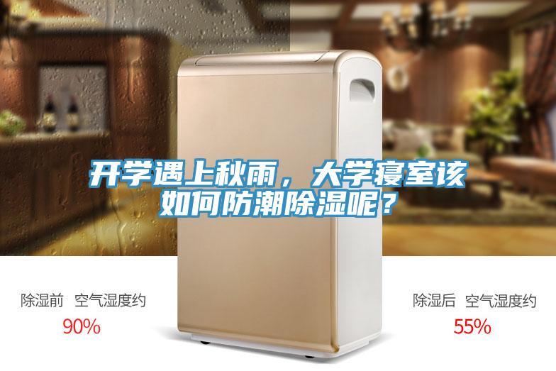 开学遇上秋雨，大学寝室该如何防潮除湿呢？