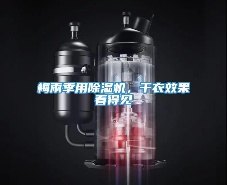 梅雨季用小黄片直播视频，干衣效果看得见