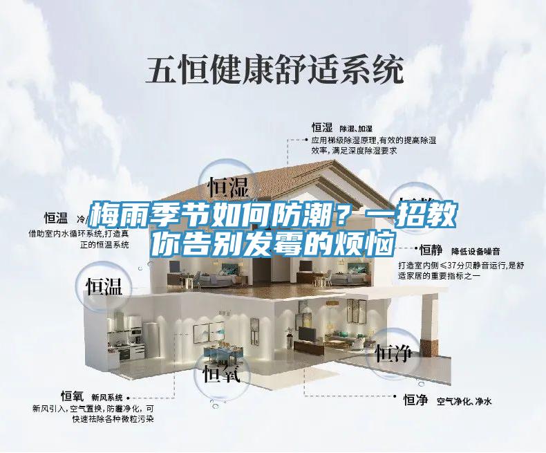 梅雨季节如何防潮？一招教你告别发霉的烦恼