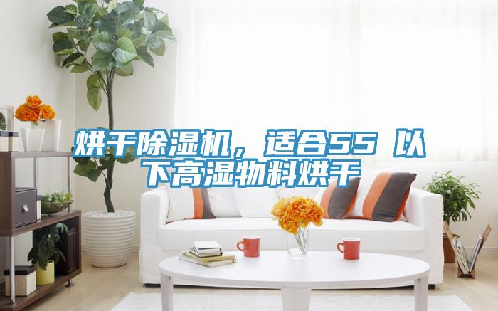 烘干小黄片直播视频，适合55℃以下高湿物料烘干
