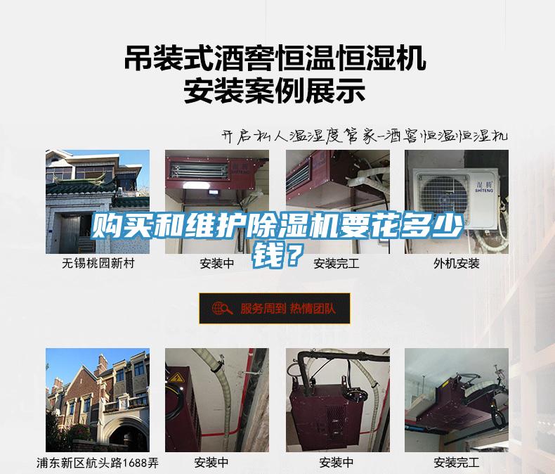 购买和维护小黄片直播视频要花多少钱？