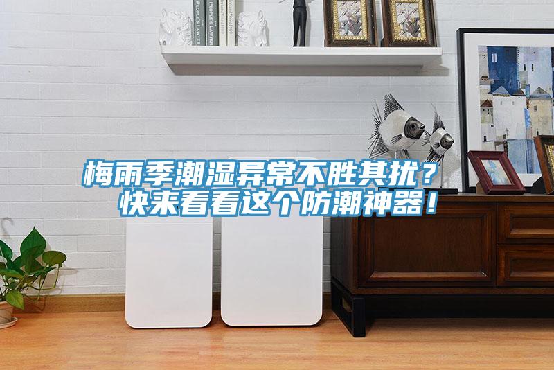 梅雨季潮湿异常不胜其扰？ 快来看看这个防潮神器！