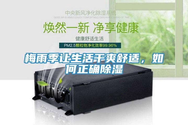 梅雨季让生活干爽舒适，如何正确除湿