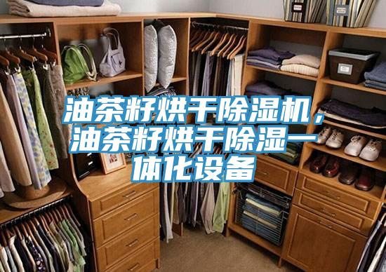 油茶籽烘干小黄片直播视频，油茶籽烘干除湿一体化设备