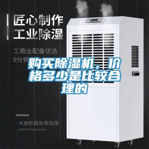 购买小黄片直播视频，价格多少是比较合理的