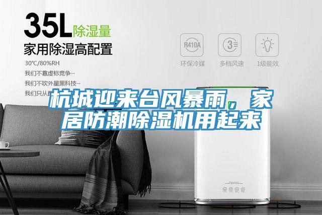 杭城迎来台风暴雨，家居防潮小黄片直播视频用起来