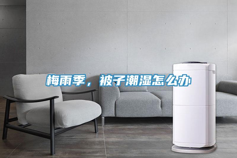 梅雨季，被子潮湿怎么办