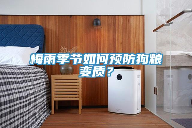 梅雨季节如何预防狗粮变质？