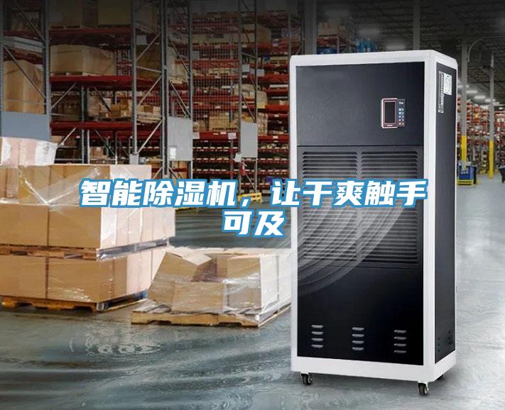 智能小黄片直播视频，让干爽触手可及