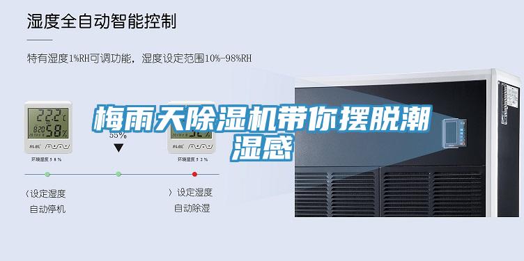 梅雨天小黄片直播视频带你摆脱潮湿感