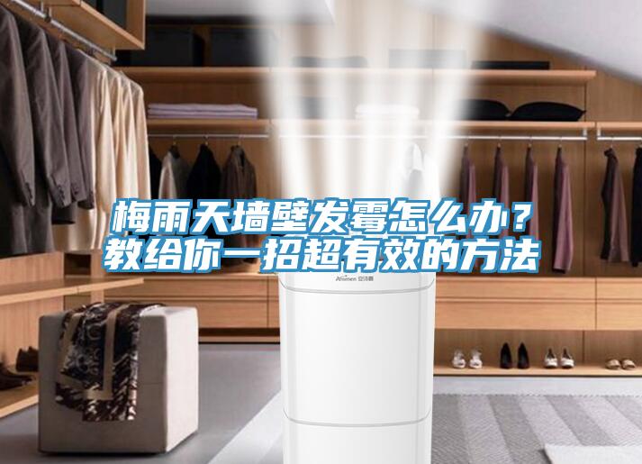 梅雨天墙壁发霉怎么办？教给你一招超有效的方法