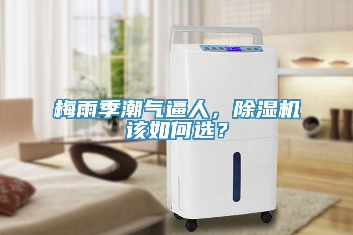 梅雨季潮气逼人，小黄片直播视频该如何选？