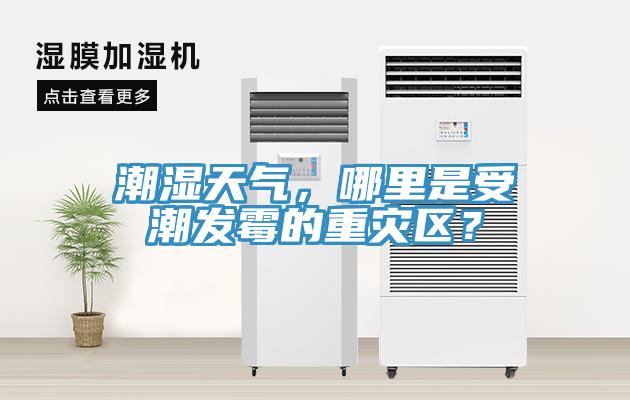 潮湿天气，哪里是受潮发霉的重灾区？