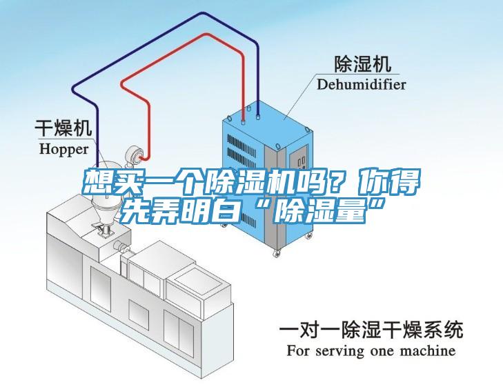 想买一个小黄片直播视频吗？你得先弄明白“除湿量”