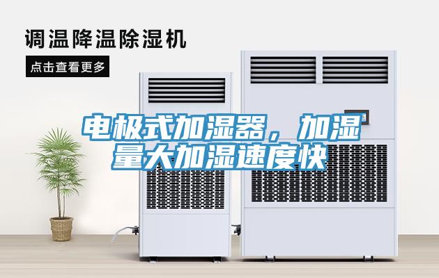 电极式加湿器，加湿量大加湿速度快