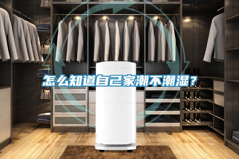 怎么知道自己家潮不潮湿？