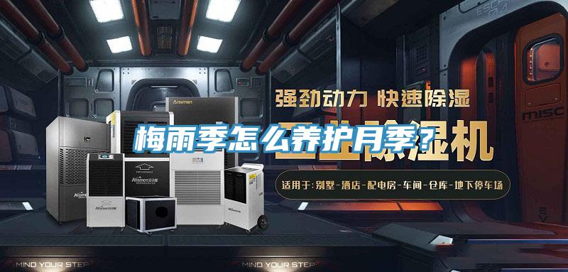 梅雨季怎么养护月季？