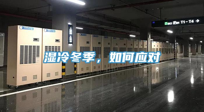 湿冷冬季，如何应对