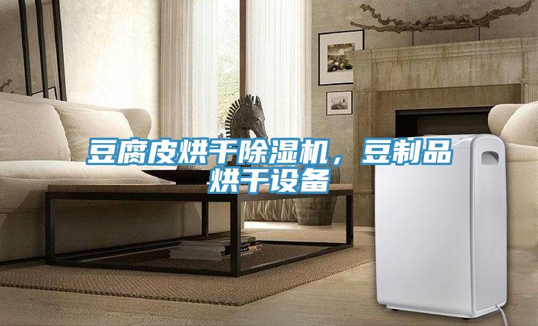 豆腐皮烘干小黄片直播视频，豆制品烘干设备