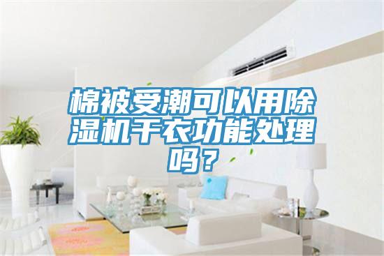 棉被受潮可以用小黄片直播视频干衣功能处理吗？