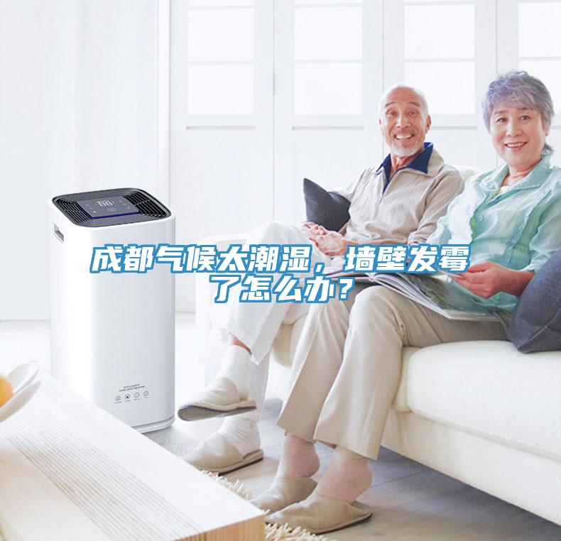 成都气候太潮湿，墙壁发霉了怎么办？