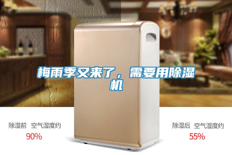 梅雨季又来了，需要用小黄片直播视频