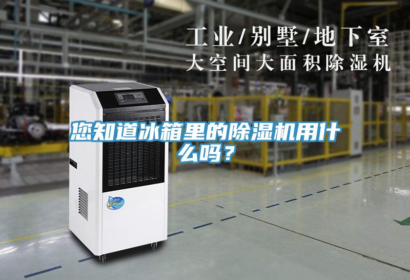 您知道冰箱里的小黄片直播视频用什么吗？