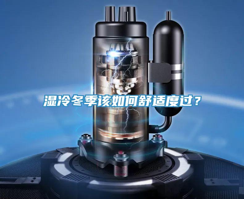 湿冷冬季该如何舒适度过？
