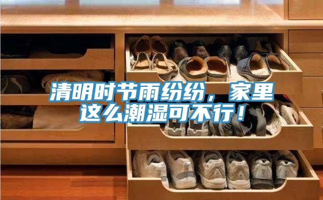 清明时节雨纷纷，家里这么潮湿可不行！