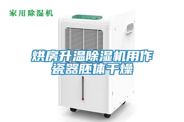 烘房升温小黄片直播视频用作瓷器胚体干燥